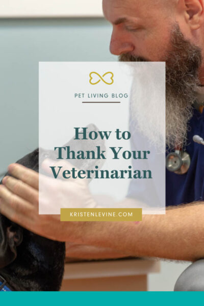 The best ways to thank your veterinary team for everything they do for your pets!