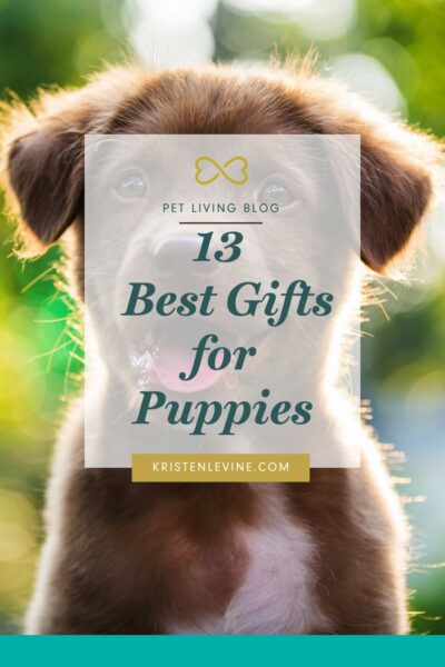 Best new hotsell puppy gifts