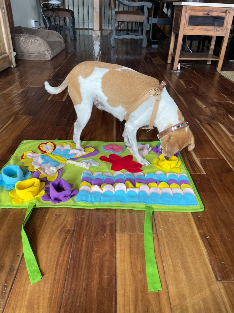 Piggy Poo and Crew Snuffle Mat Review