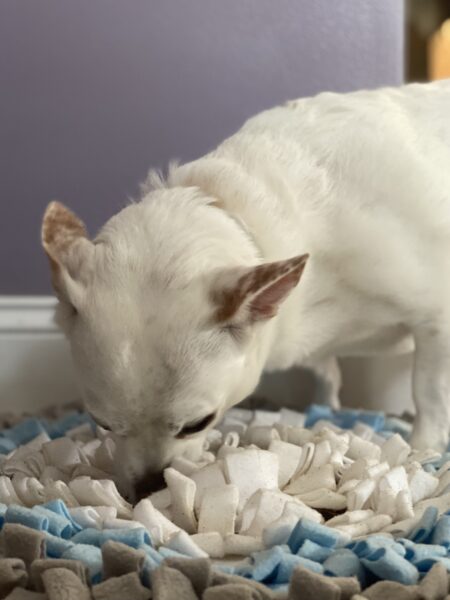 YEPPUPPY snuffle mat