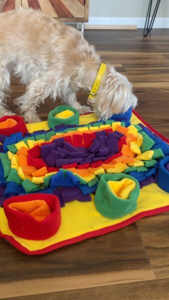 Piggy Poo and Crew Snuffle Mat