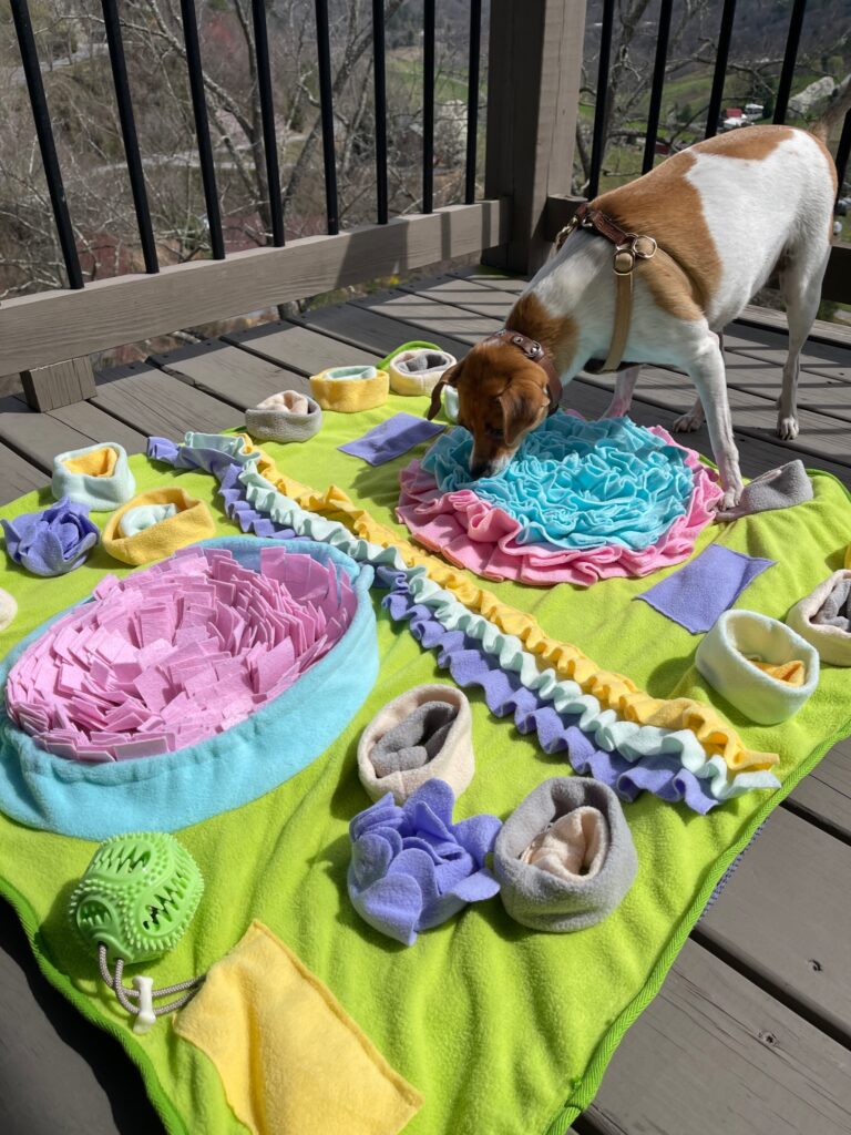 Piggy Poo and Crew Snuffle Mat