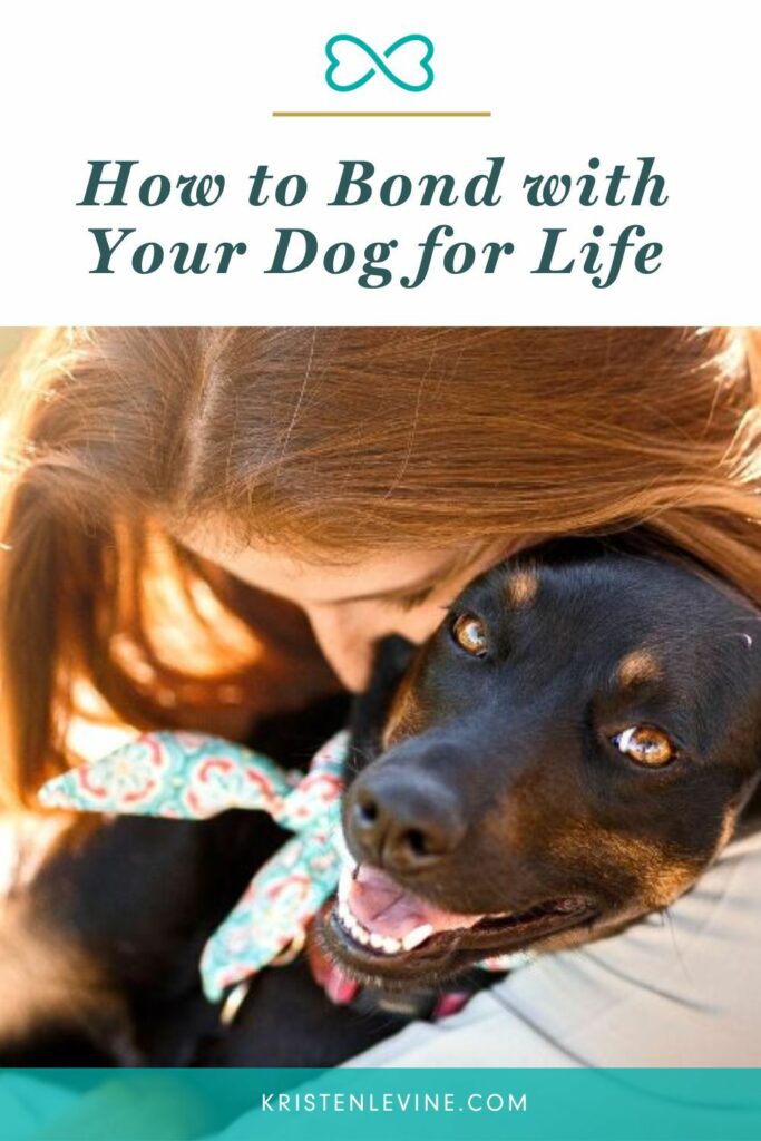 how to bond with your dog for life pin