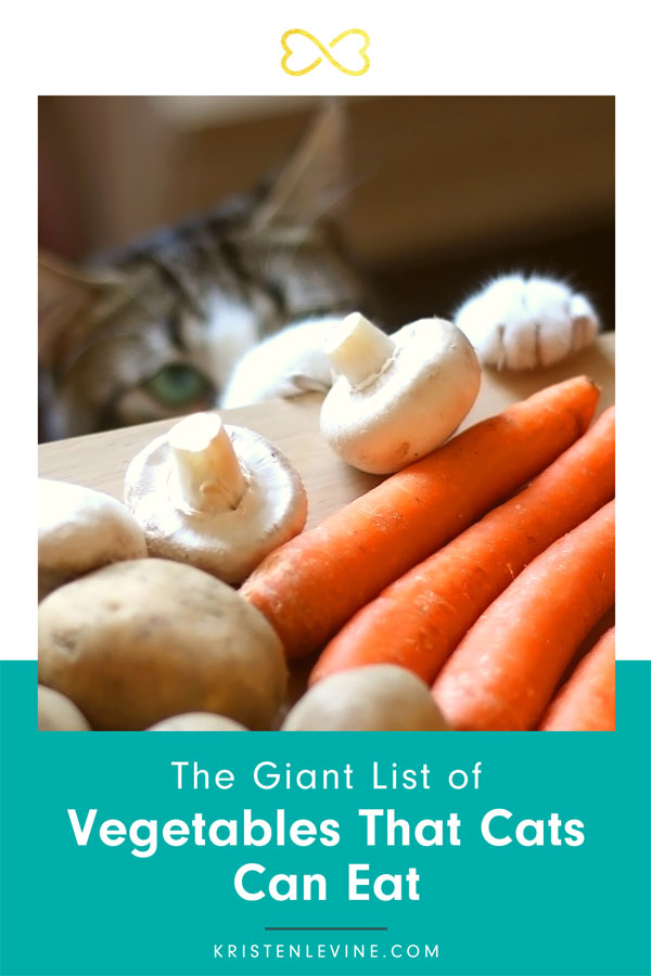 The Giant List of Vegetables That Cats Can Eat