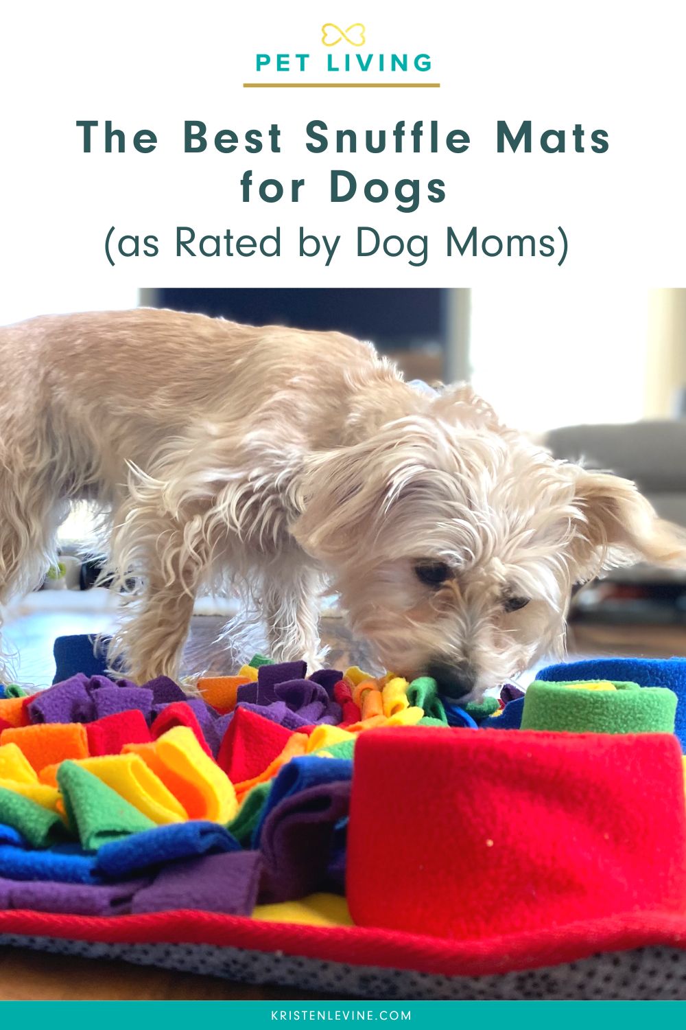 The Best Snuffle Mats for Dogs as Rated by Dog Moms