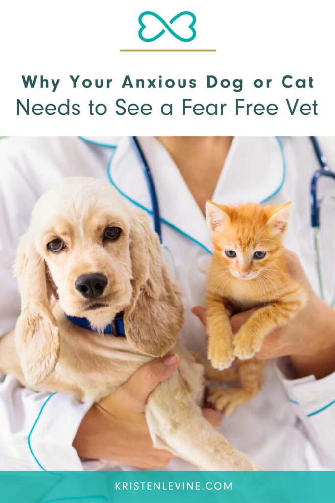 Why your anxious dog or cat needs to see a Fear Free vet.