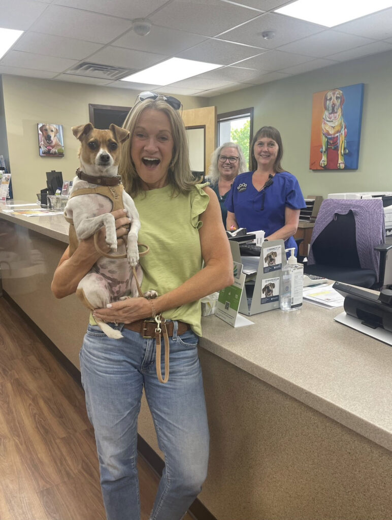 Tulip at her Fear Free vet appointment. 