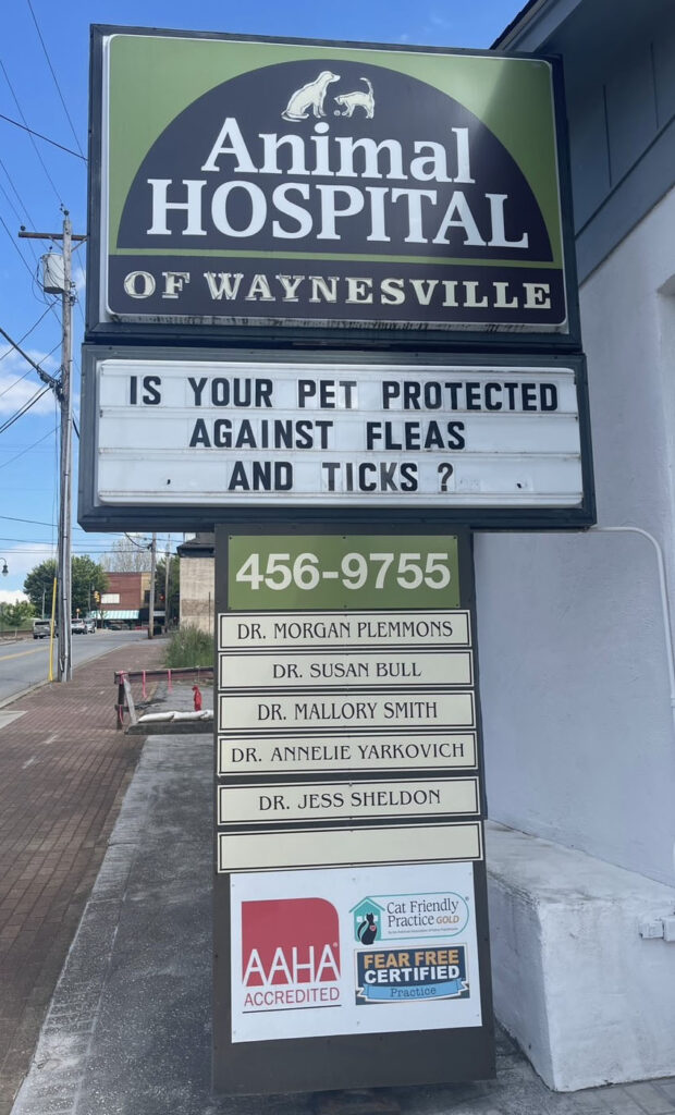 My local fear free vet in waynesville nc