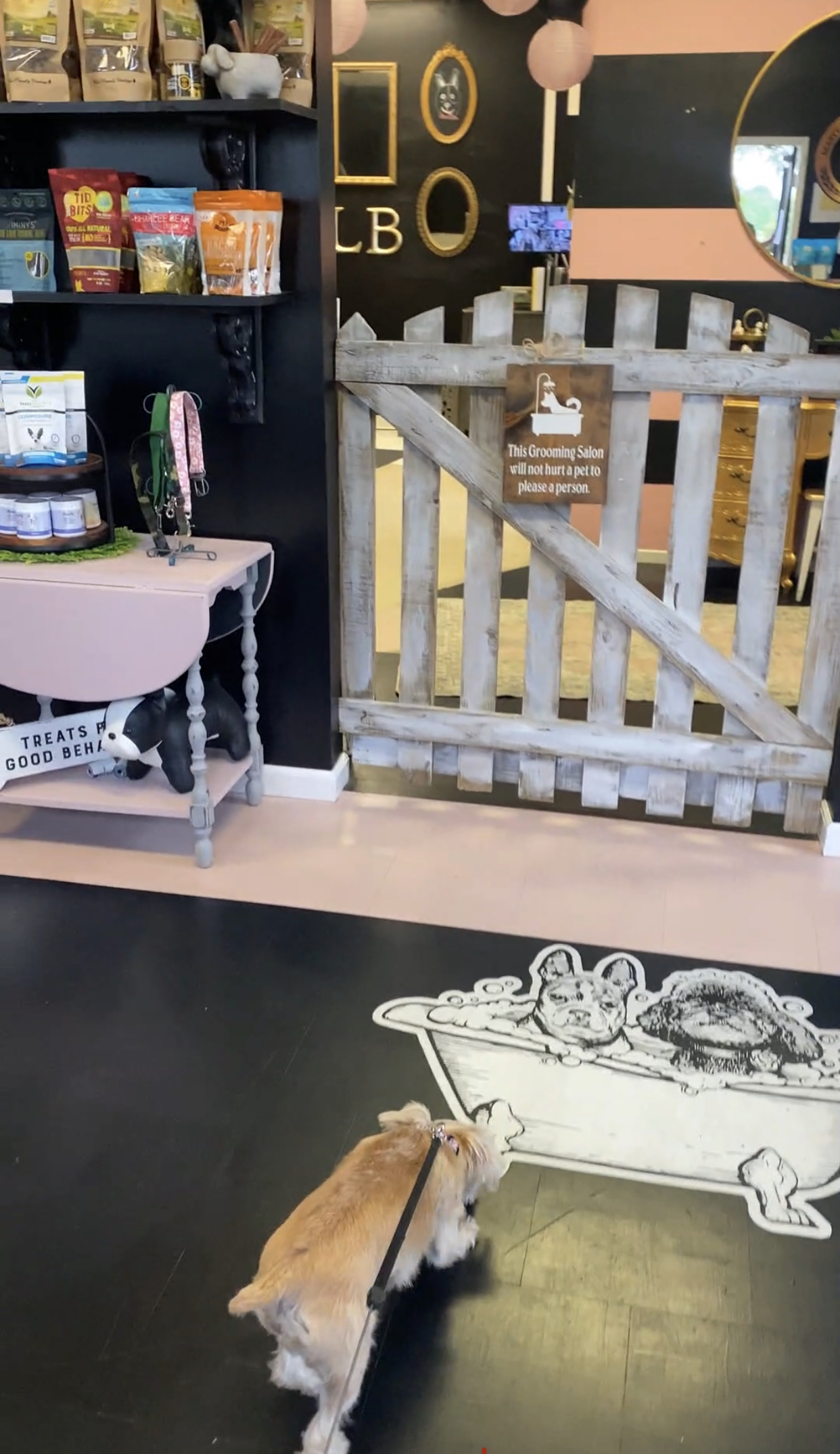 Grooming Anxiety: Help Your Dog Conquer Fear of Nail Trims and More - Dog Grooming And Anxiety Conferences