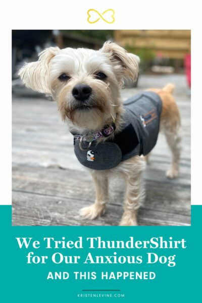 We Tried ThunderShirt for Our Anxious Dog and This Happened