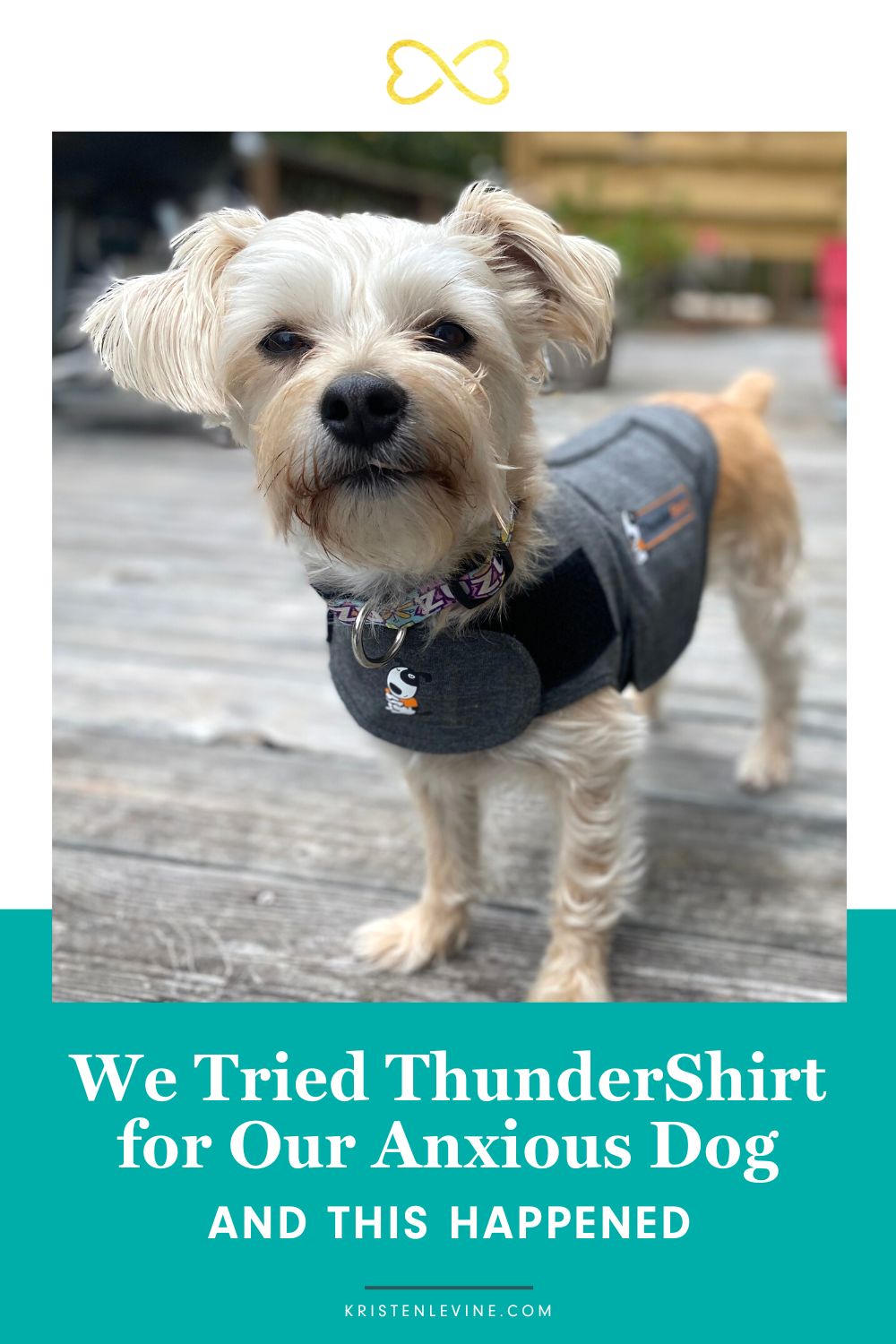 We Tried ThunderShirt® for Our Anxious Dogs and This Happened