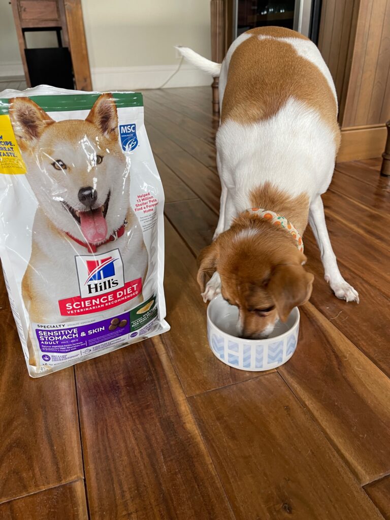 Hill's science diet sensitive stomach and skin dog outlet food reviews