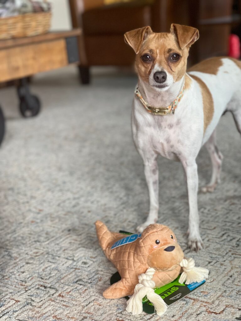 Eco-friendly Grrreen Rope Walrus Toy