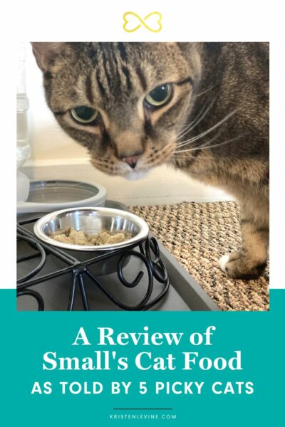 A Smalls Cat Food Review as Told by 5 Picky Cats | Pet Living with ...