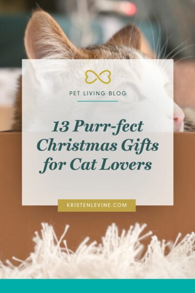 Christmas gifts for cat lovers