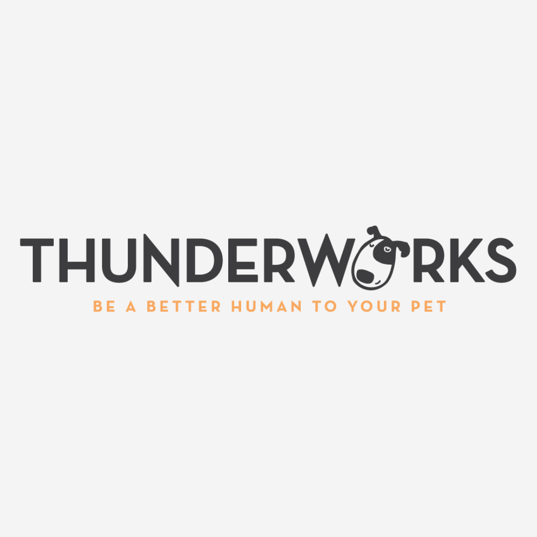 ThunderWorks