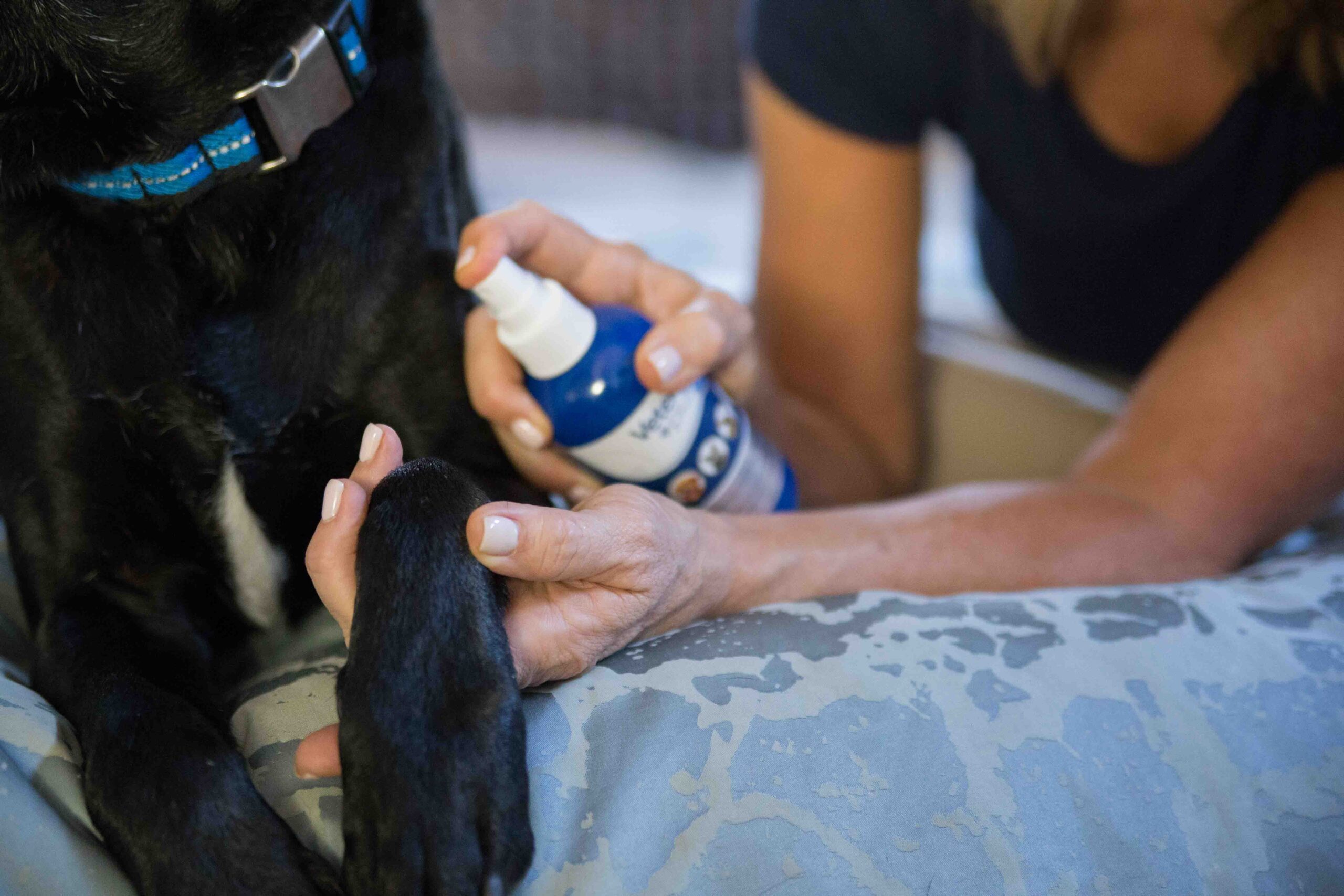 kl-media-influencer-chilly-case-studies-1