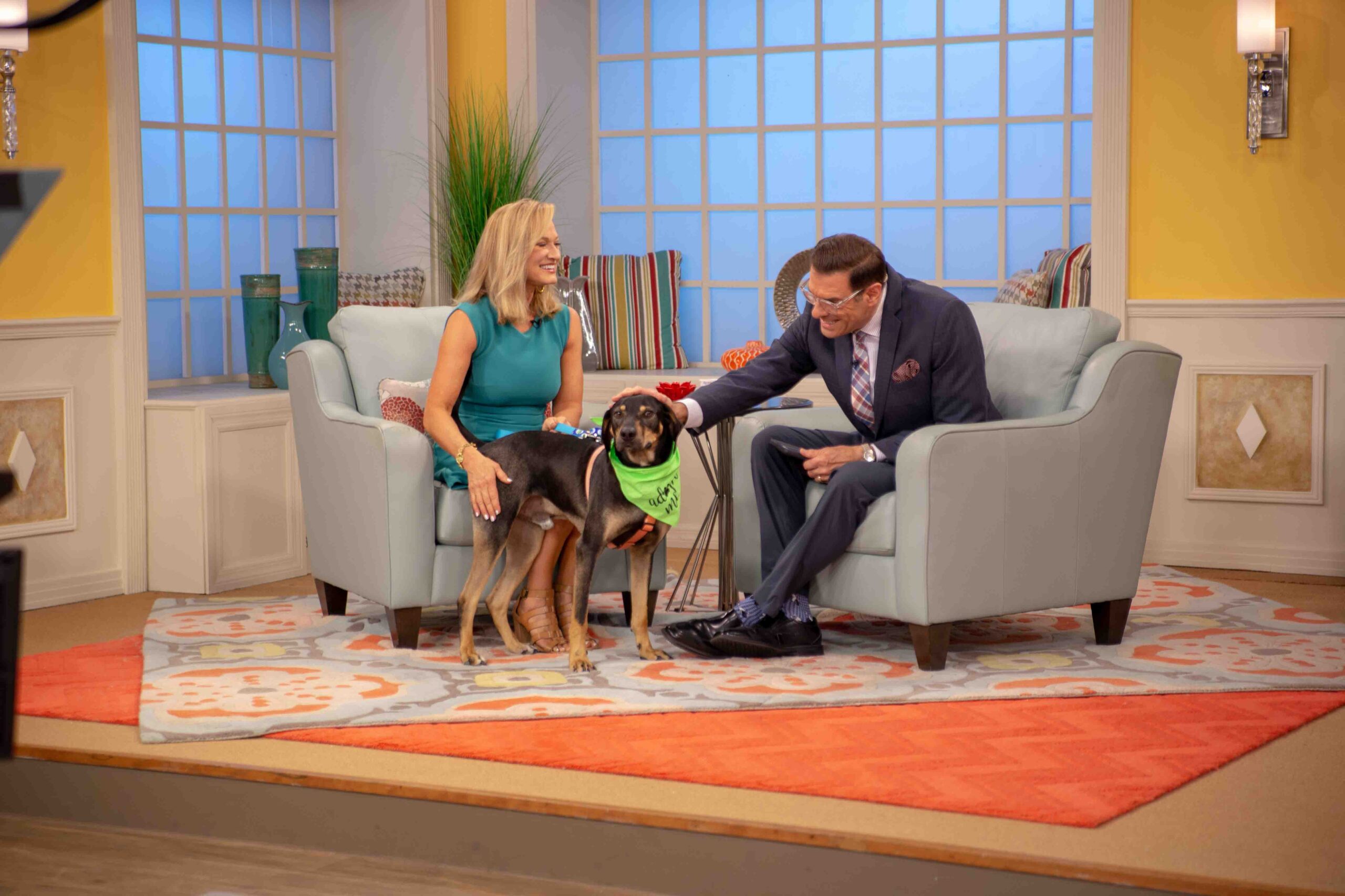 kristen-levine-daytime-broadcast-digital-bundle-1