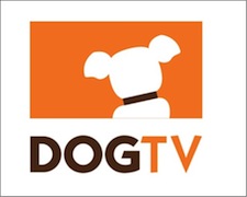 DogTV